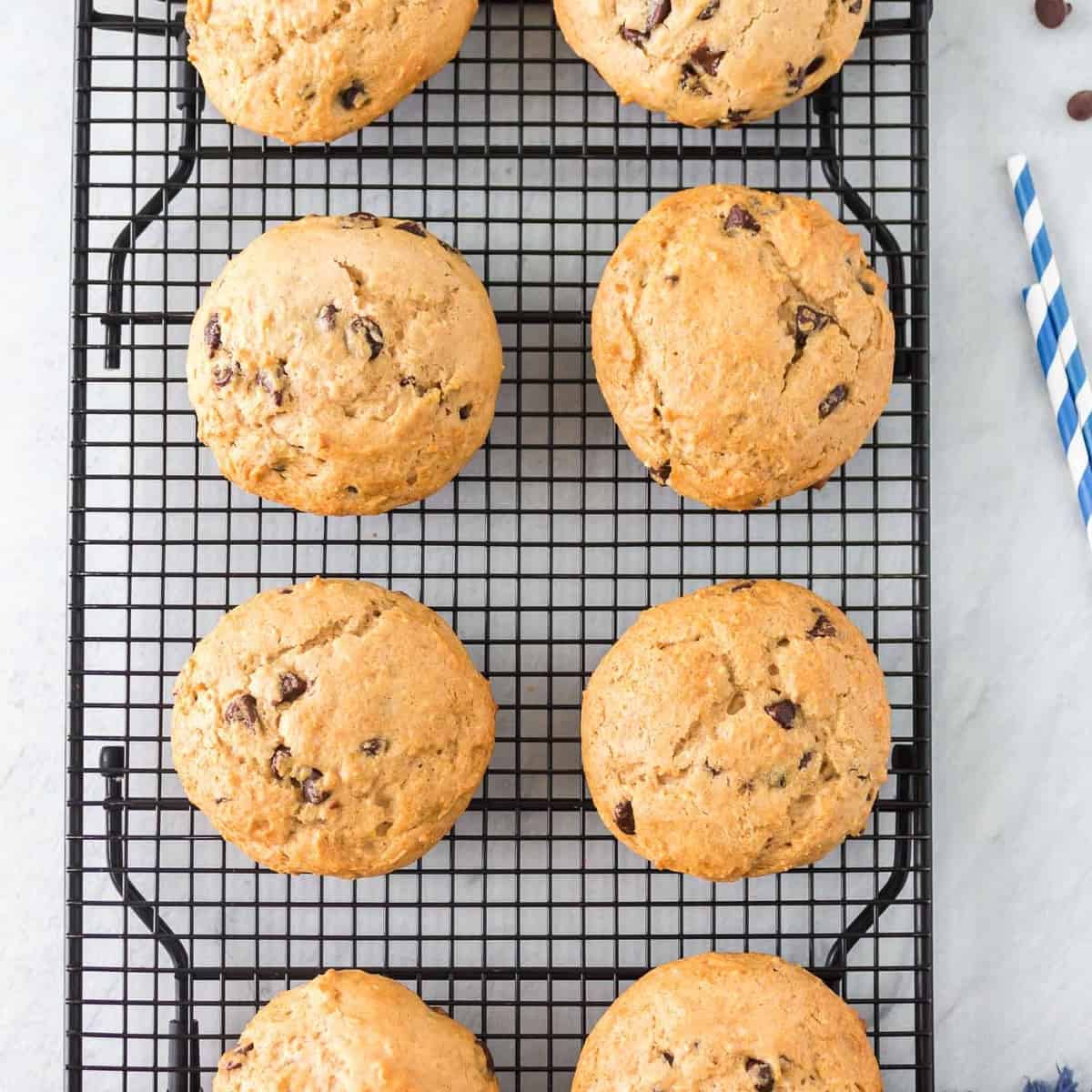 Galletas de Mezcla para Panqueques con Chips de Chocolate
